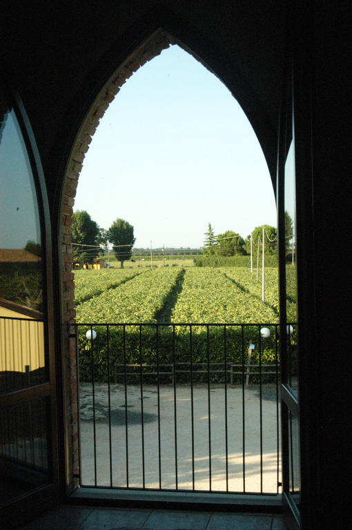 Locanda Merlaschio Faenza Room photo